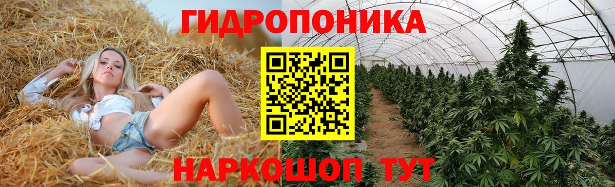 Канабис индика Электросталь